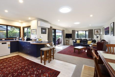 Photo of property in 109f Halifax Street East, The Wood, Nelson, 7010