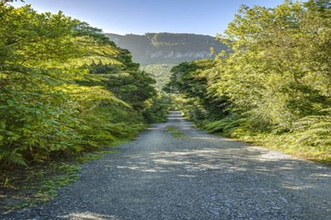 Photo of property in 6 Hartmount Place, Te Miko, Punakaiki, 7871
