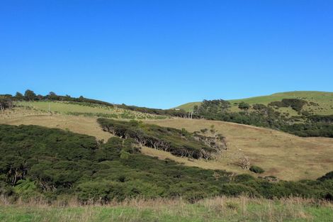 Photo of property in 1638 Whaanga Road, Raglan, 3296
