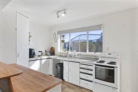 Photo of property in 52 Neal Street, Putaruru, 3411