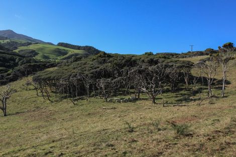 Photo of property in 1638 Whaanga Road, Raglan, 3296