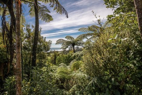 Photo of property in 17 Fairburn Place, Charleston, Cape Foulwind, 7892