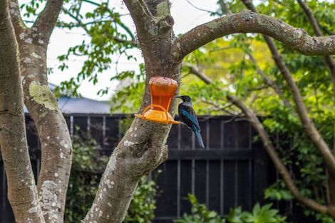 Photo of property in 133 Raumati Road, Raumati Beach, Paraparaumu, 5032