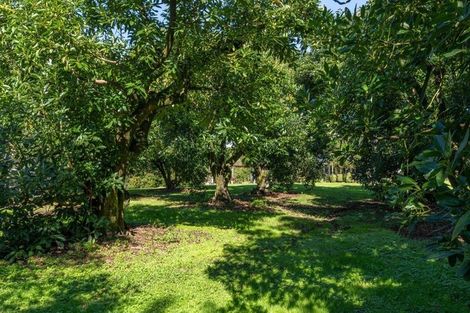 Photo of property in 451 Belk Road, Omanawa, Tauranga, 3171