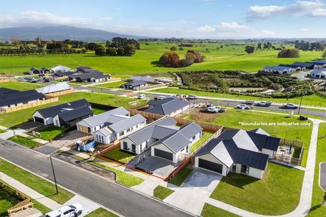 Photo of property in 533 Korimako Drive, Te Awamutu, 3800