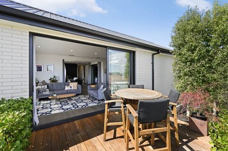 Photo of property in 45 Sylvester Crescent, Flagstaff, Hamilton, 3210