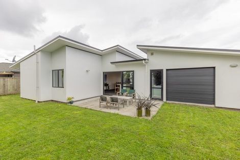 Photo of property in 24 Buckingham Place, Springvale, Whanganui, 4501