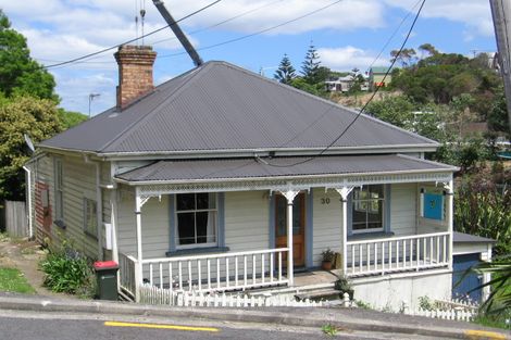 Photo of property in 30 Buchanan Street, Kingsland, Auckland, 1021