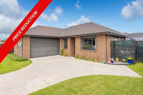 Photo of property in 19 Pharo Place, Ngaruawahia, 3720