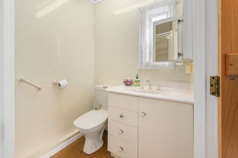 Photo of property in 21 Mckain Place, Fitzroy, Hamilton, 3206