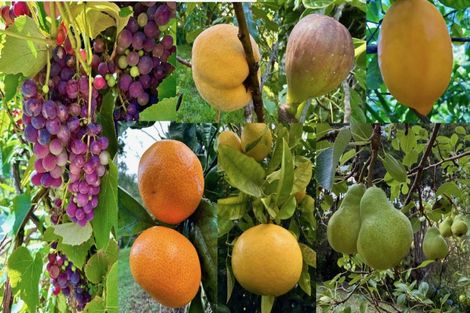 Photo of property in 125c Sailors Grave Road, Pumpkin Hill, Whitianga, 3591