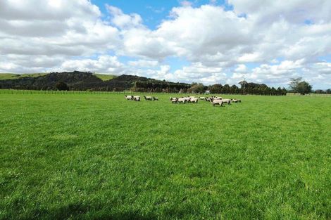 Photo of property in 421 Haringa Road, Carrington, Carterton, 5791