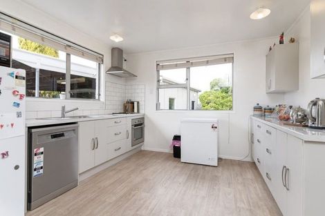 Photo of property in 21 Freyberg Street, Solway, Masterton, 5810