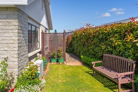 Photo of property in 97k High Street, Solway, Masterton, 5810