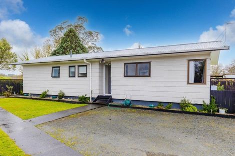 Photo of property in 16 Leather Street, Huntly, 3700