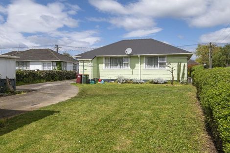 Photo of property in 9 Maire Street, Levin, 5510