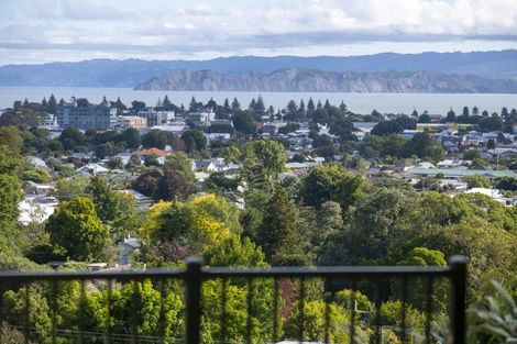 Photo of property in 194 Ballance Street, Whataupoko, Gisborne, 4010