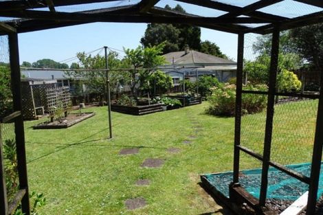 Photo of property in 4 Lewis Street, Paeroa, 3600