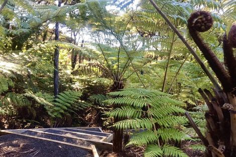 Photo of property in 455 Tuateawa Road, Tuateawa, Coromandel, 3583