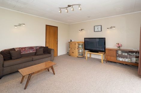 Photo of property in 45 Morgan Street, Methven, 7730