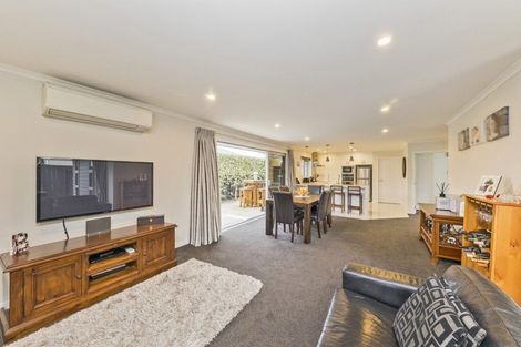 Photo of property in 96a Limbrick Street, Terrace End, Palmerston North, 4410