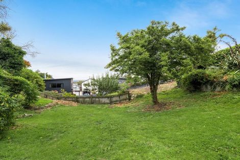 Photo of property in 22 Cochrane Street, Mornington, Dunedin, 9011