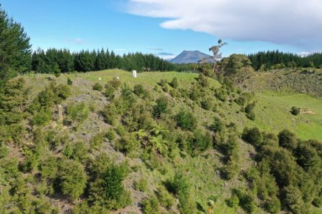 Photo of property in 2877 State Highway 30, Rotoma, Whakatane, 3192