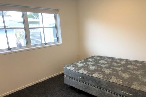 Photo of property in 97 Fitzroy Avenue, Fitzroy, Hamilton, 3206