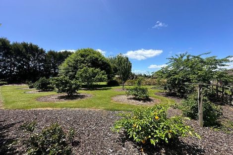 Photo of property in 159 Tauwhare Road, Tamahere, Hamilton, 3283