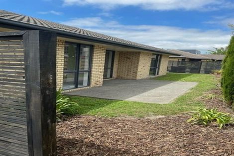 Photo of property in 24 Wychbury Street, Spreydon, Christchurch, 8024