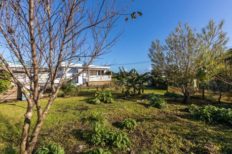 Photo of property in 52 Richmond Street, Waitara, 4320
