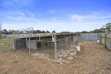 Photo of property in 176 Amberley Beach Road, Amberley, 7481