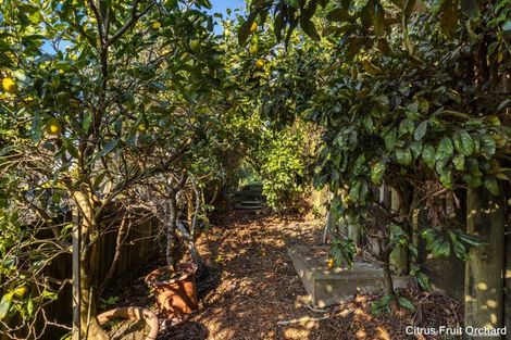 Photo of property in 3 Rakau Views, Orewa, 0931