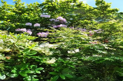 Photo of property in 2310a Dipton Winton Highway, Winton, 9782