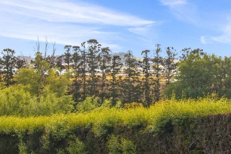 Photo of property in 102 Avocado Lane, Mangawhai, Wellsford, 0975