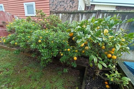 Photo of property in 2/45 Royal Street, Upper Hutt, 5018