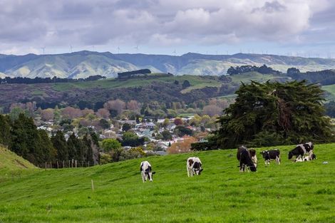 Photo of property in 113 Kaitawa Road, Hautere, Otaki, 5582