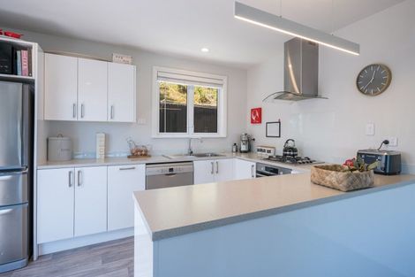 Photo of property in 117 Halifax Street East, The Wood, Nelson, 7010