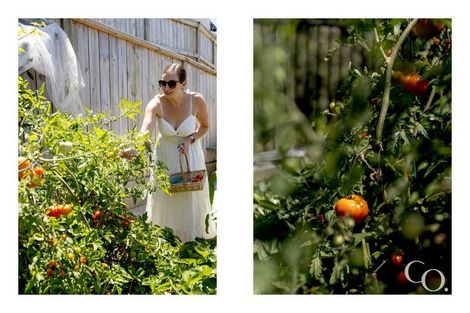 Photo of property in 21d Glenn Terrace, Otumoetai, Tauranga, 3110