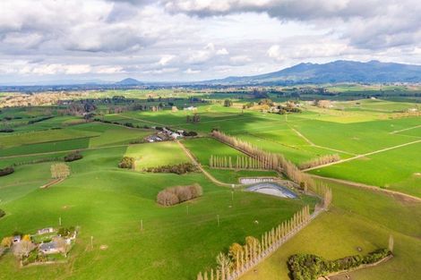 Photo of property in 99 Livingstone Road, Ngahinapouri, Hamilton, 3290