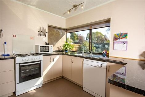 Photo of property in 219a Redwood Street, Witherlea, Blenheim, 7201