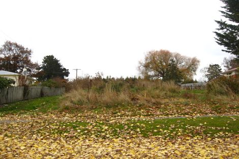 Photo of property in 17 Forest Street, Tapanui, 9522