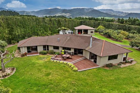 Photo of property in 237b Busby Road, Tahawai, Katikati, 3170
