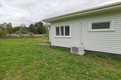 Photo of property in 117 Ponga Road, Opaheke, Papakura, 2584