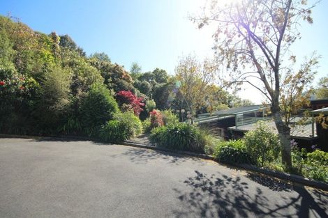 Photo of property in 8a Croydon Street, North East Valley, Dunedin, 9010