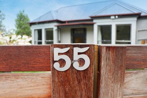 Photo of property in 55 Warden Street, Opoho, Dunedin, 9010