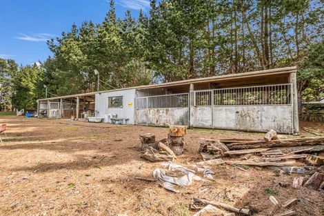 Photo of property in 356 Matamau Ormondville Road, Matamau, Dannevirke, 4977