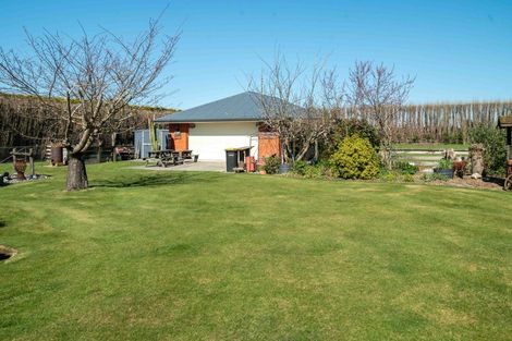 Photo of property in 183 Neeves Road, Kaiapoi, 7691