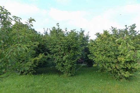 Photo of property in High Street, Waimate, 7924