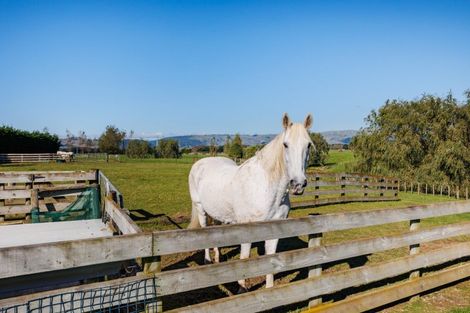 Photo of property in 148 Watershed Road, Bunnythorpe, Palmerston North, 4470